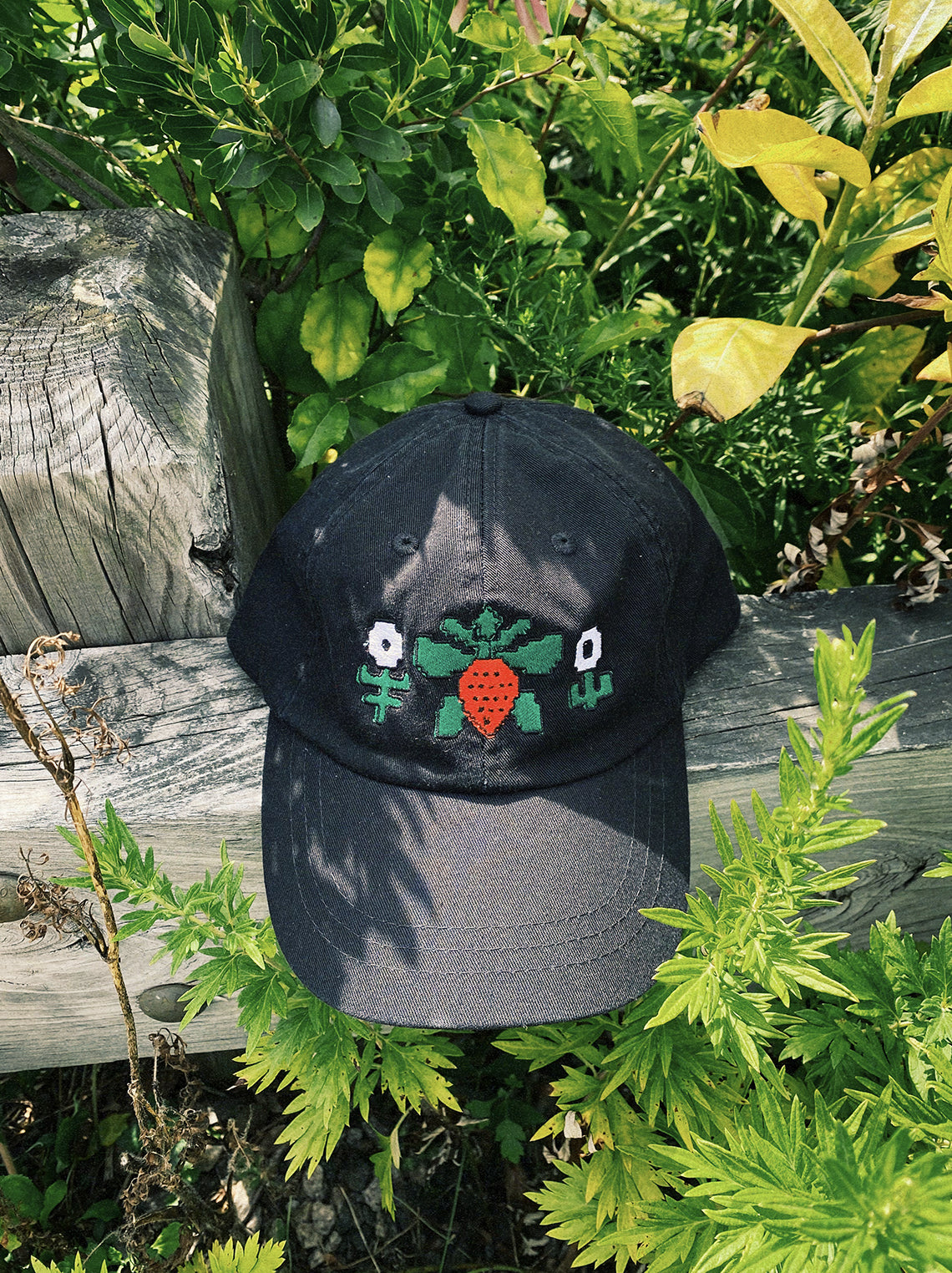 Strawberry Embroidered Hat